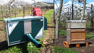 2012 - Our new Frost Guard (Left) & a bee hive with blossom (Right)