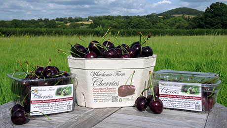 Cherries in our 1kg Recycled Fiber Punnet, and in our 0.5kg & 0.25kg Recyclable Plastic Punnets